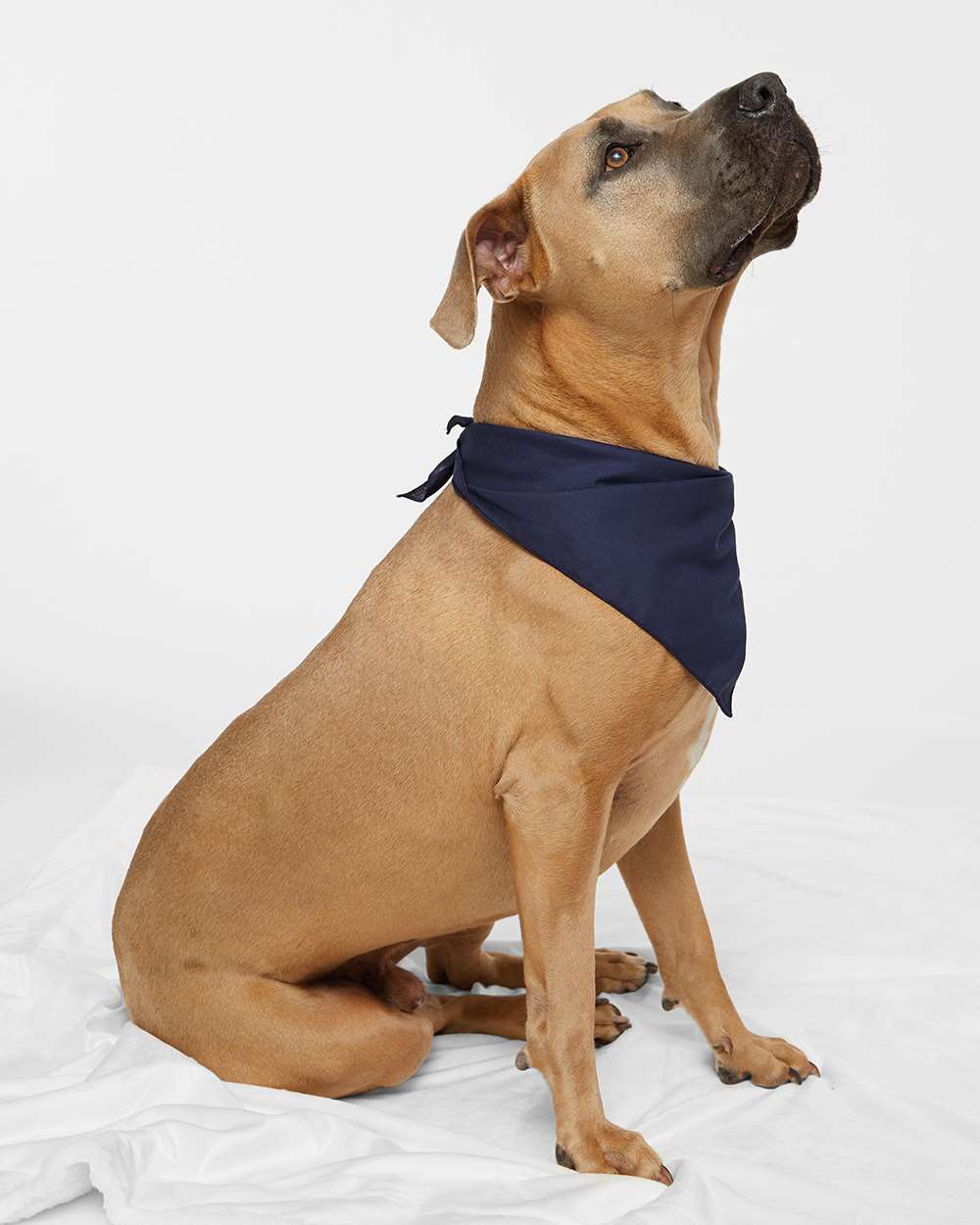USA-Made Doggie Bandana